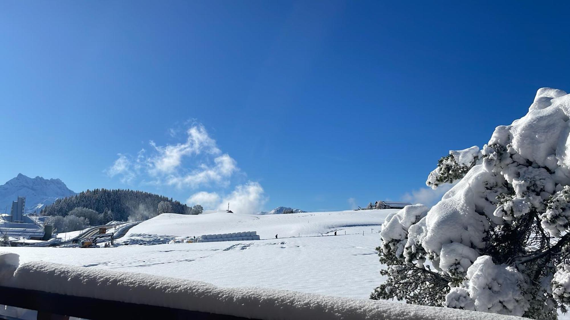 Dans Un Avec Jardin Privatif Apartment Leysin