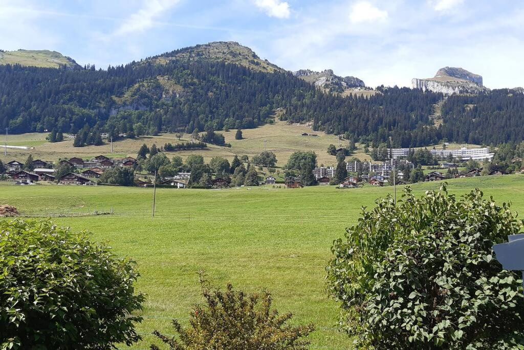 Dans Un Avec Jardin Privatif