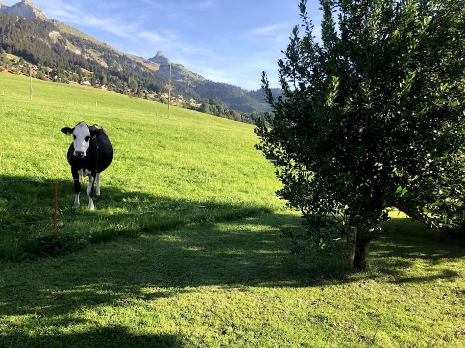 Dans Un Avec Jardin Privatif